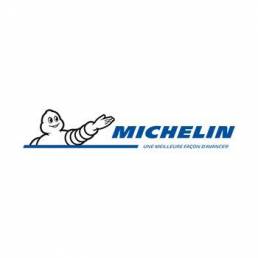 logo michelin client datagram