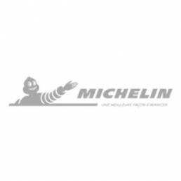 Michelin_white